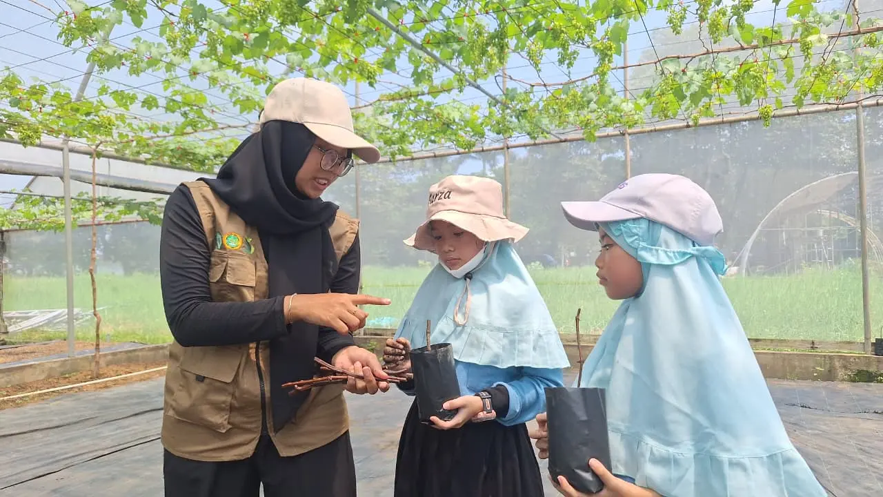 Berita: Serunya Outing Class Kelas 2: Menjelajahi Dunia Anggur di Wisata Duta Pengangguran