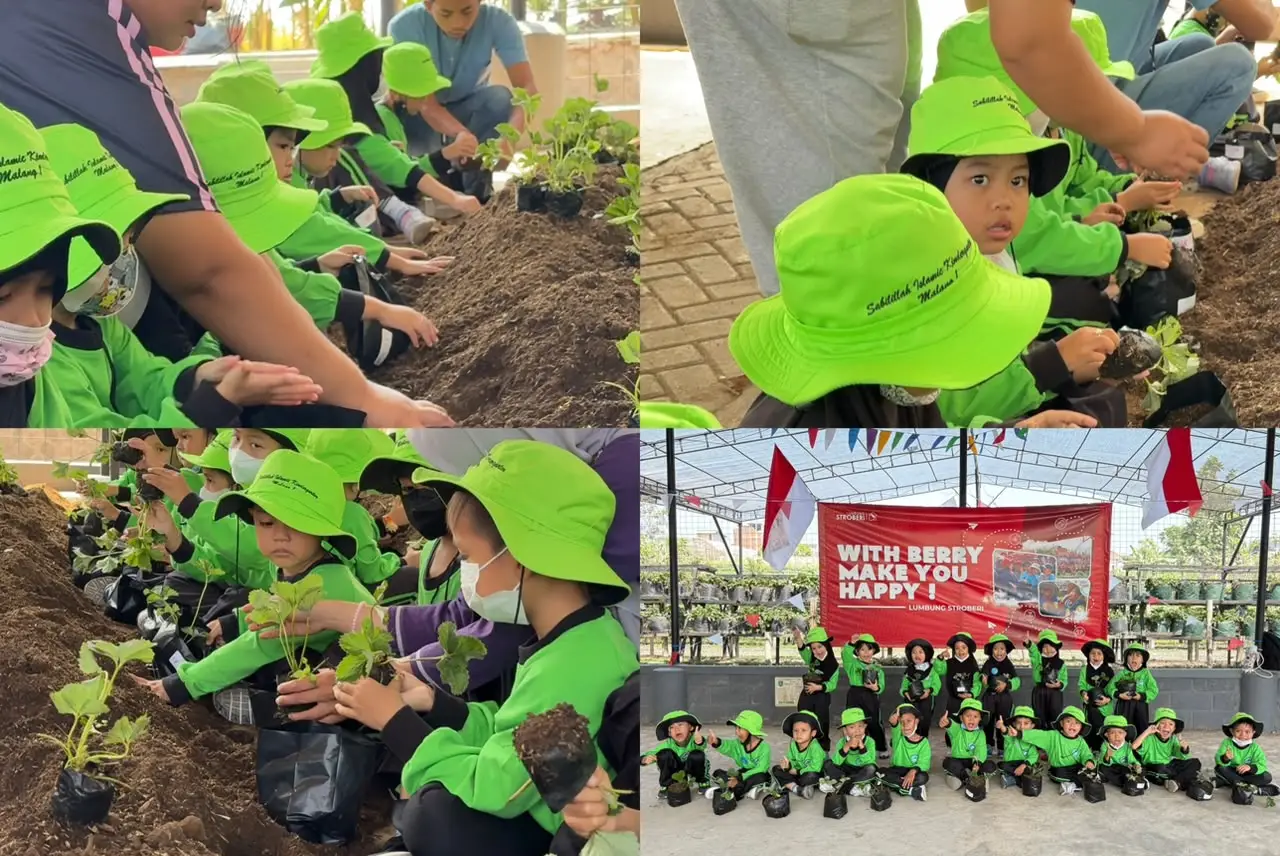 Asyiknya Menanam Stroberi di Lumbung Strawberry Batu Lewat Outing Class My Project A